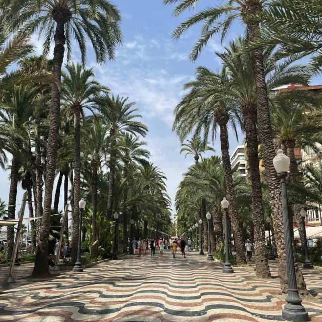 Elche Alicante - Costa Blanca