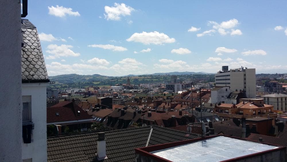 Apartment for expats in Oviedo - Views