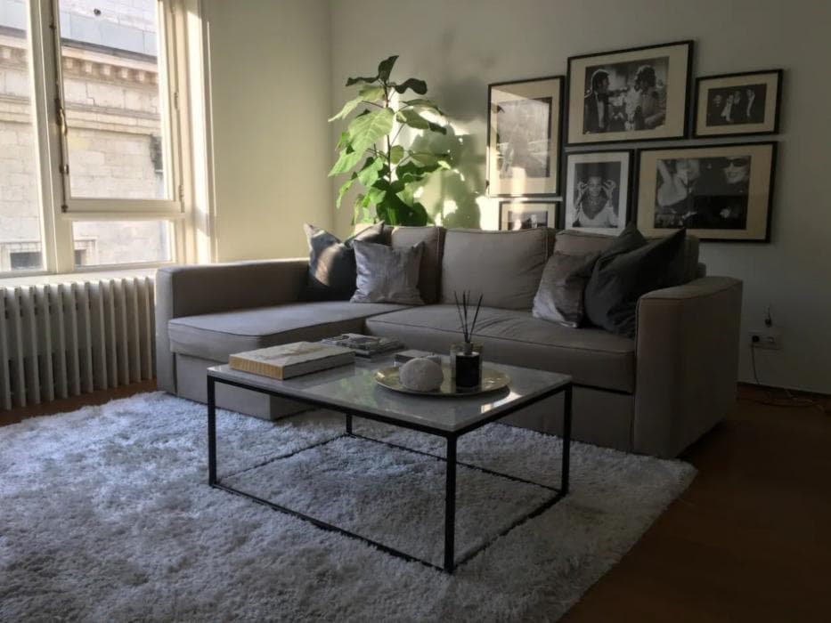 Beautiful home for expats in Antwerp Centre - Livinf room