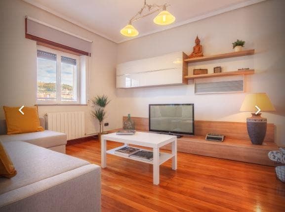 Olabeaga - River view expat apartment in Bilbao - Living room