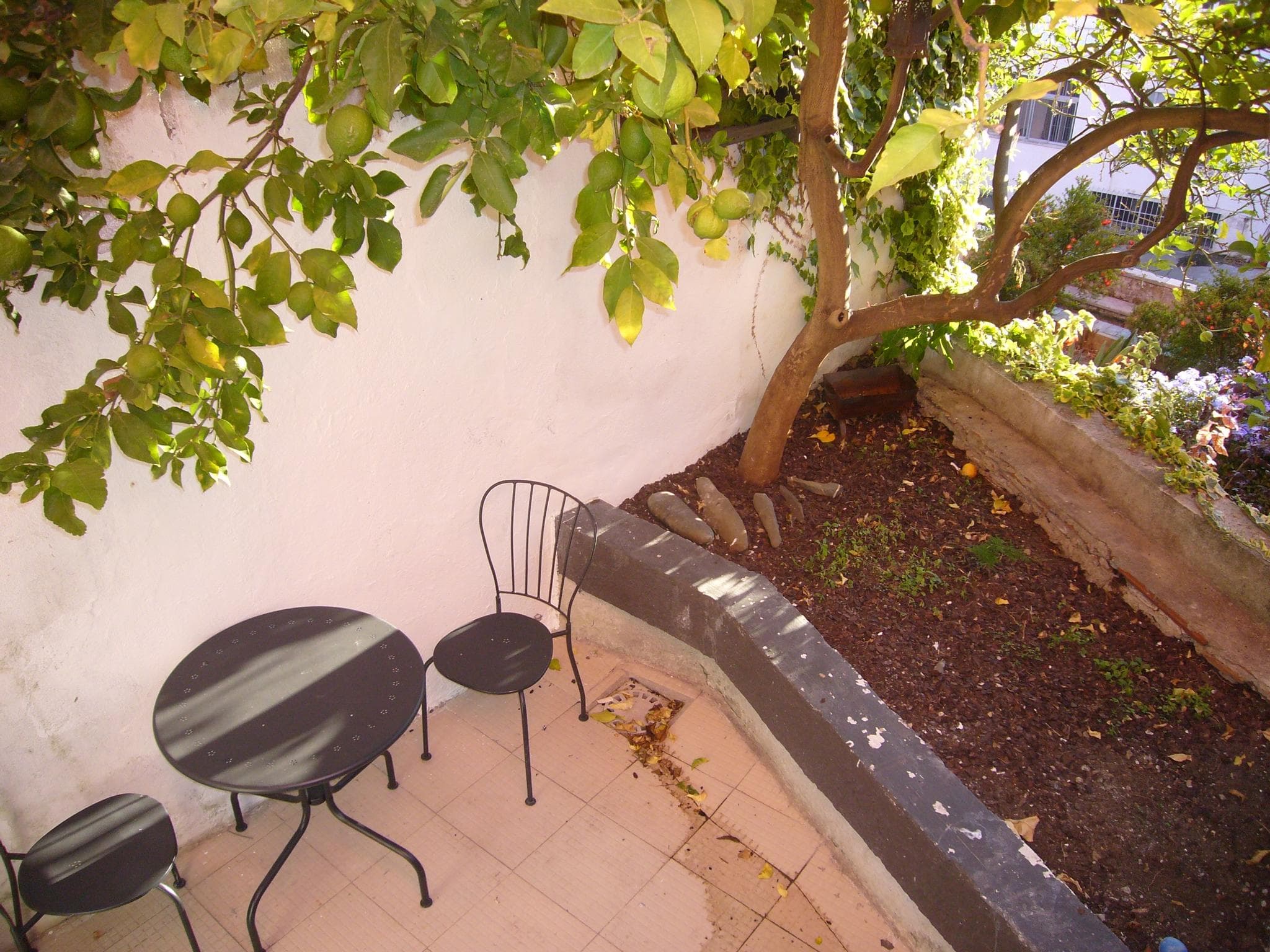 Loureiro - 2 bedroom flat in Lisbon - Terrace