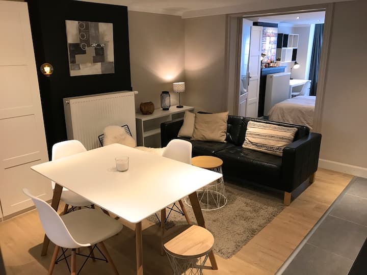 Clementina 2 - Luxury expat apartment in Ghent - Living room
