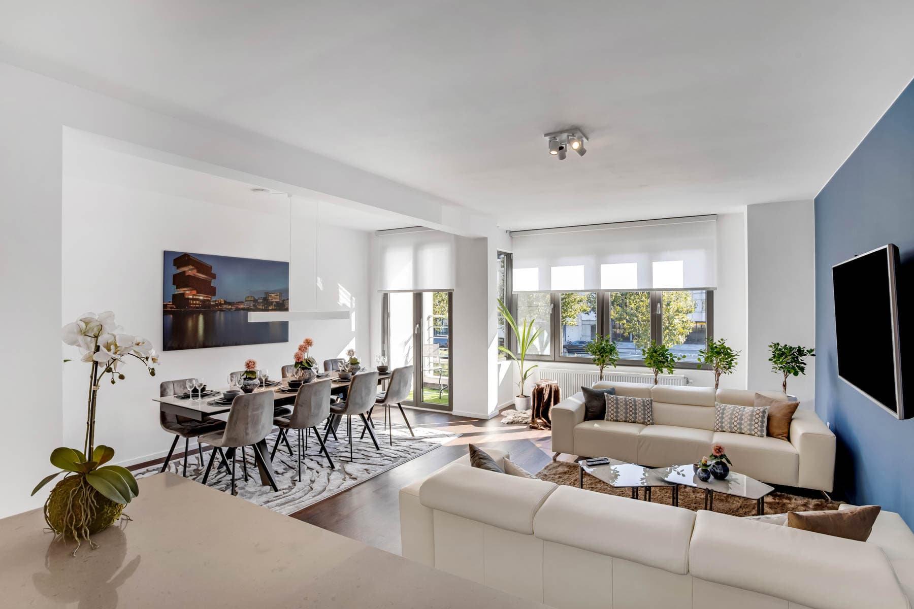 Antwerp luxury apartment for professionals - Living room