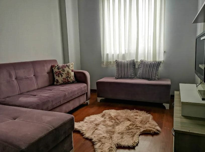 Elalmis - Furnished apartment for rent in Istanbul - Living room