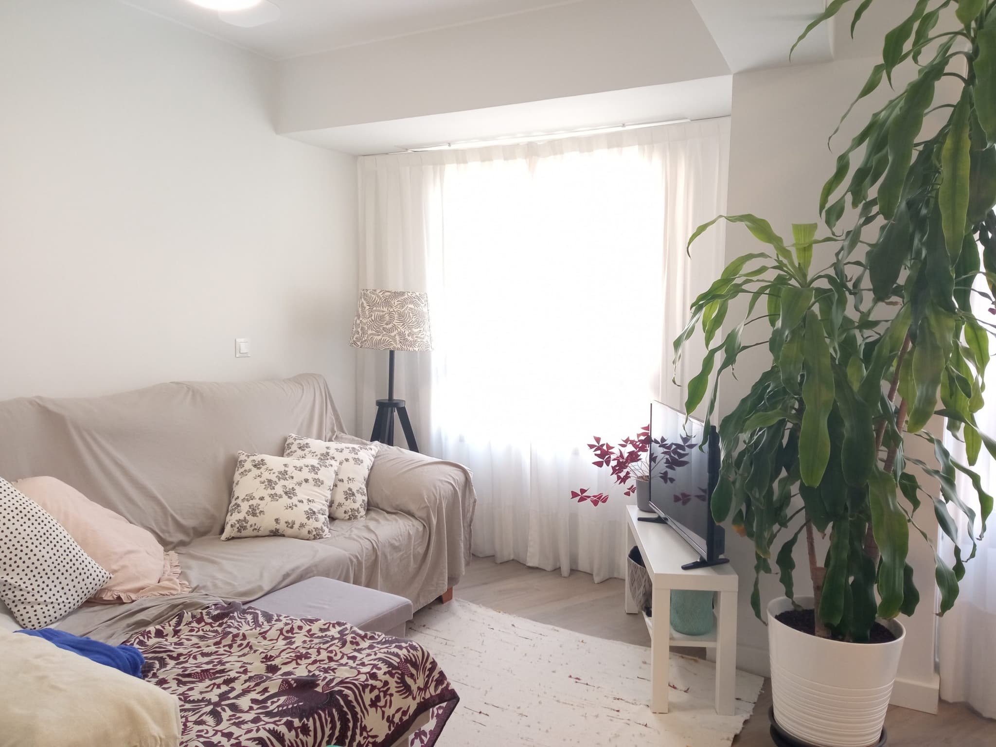 apartment for rent in valencia - livingroom