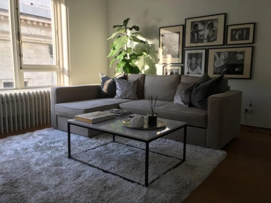 Beautiful home for expats in Antwerp Centre - Livinf room
