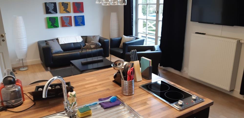 Convenient expat flat in north Antwerp - Living room