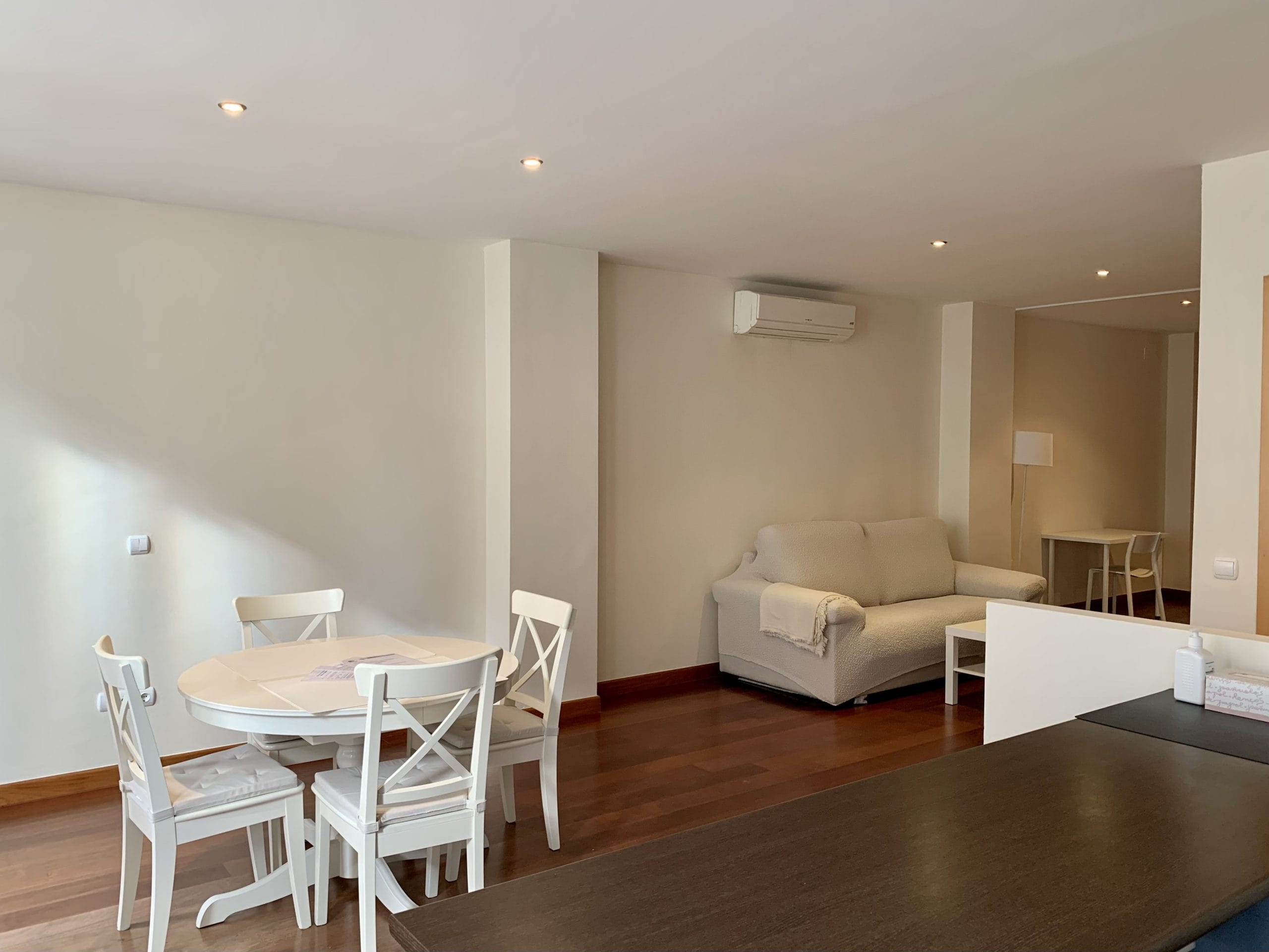 Literat 20 - Entry-ready apartment for rent in Valencia - Living room