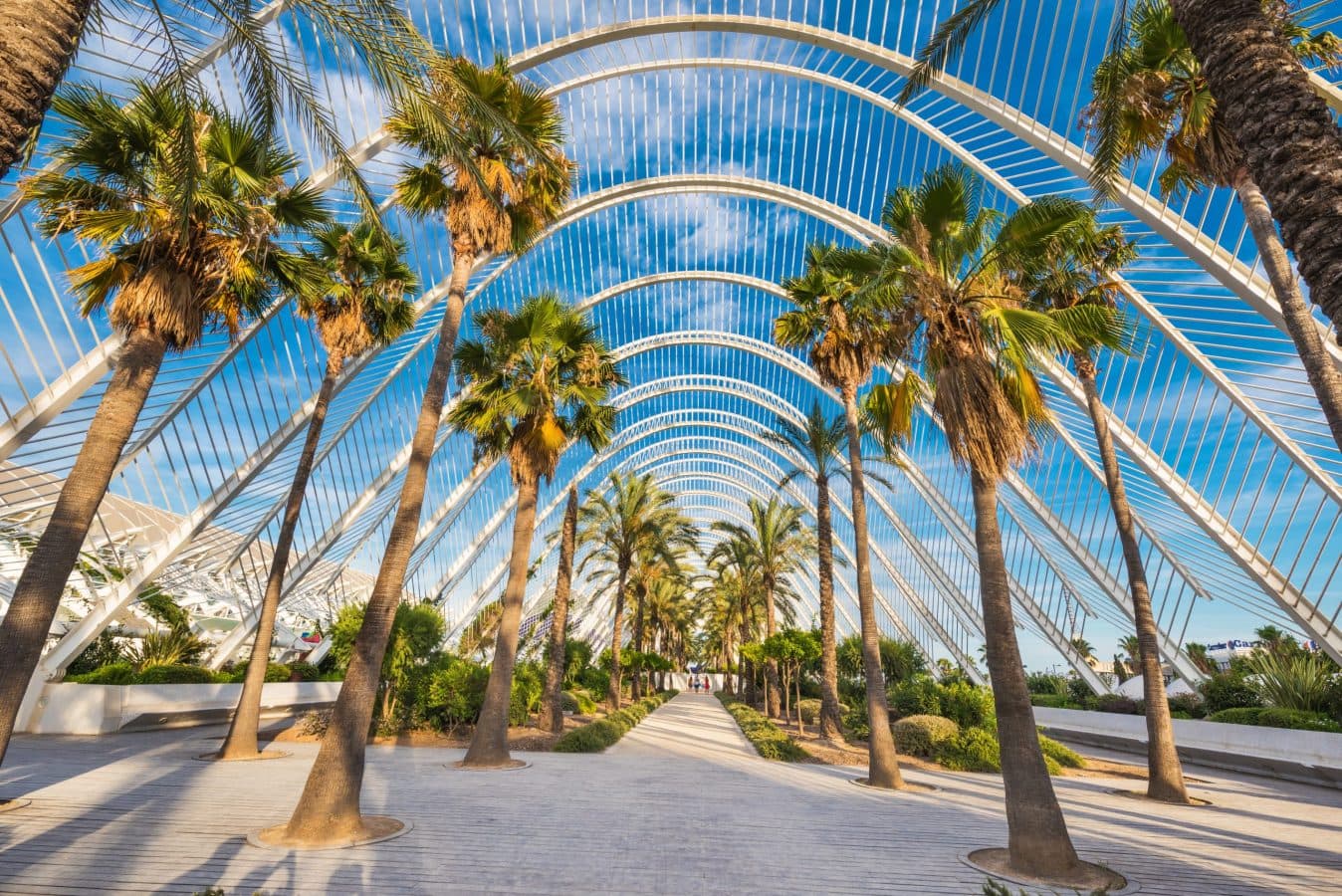 The Future for Digital Nomads in Spain