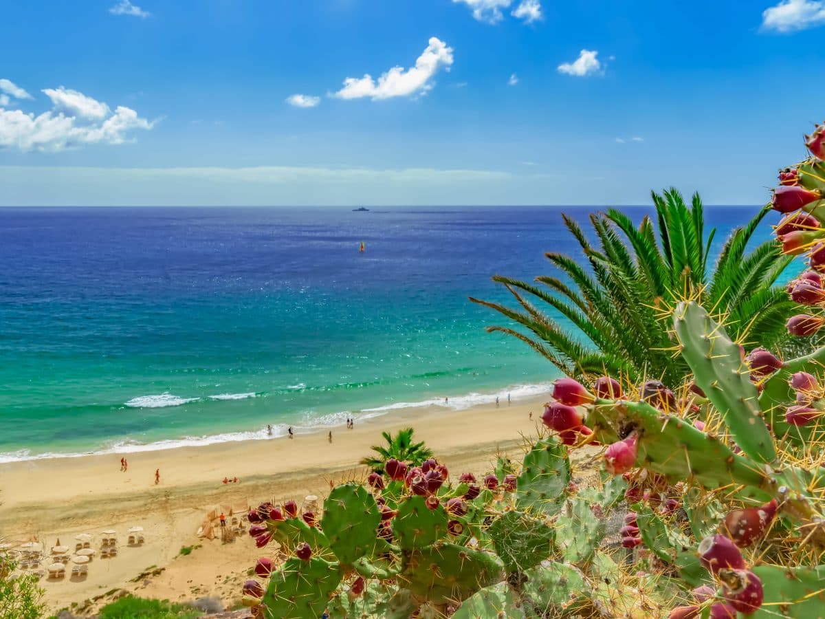 Moving to Fuerteventura: Everything you need to know