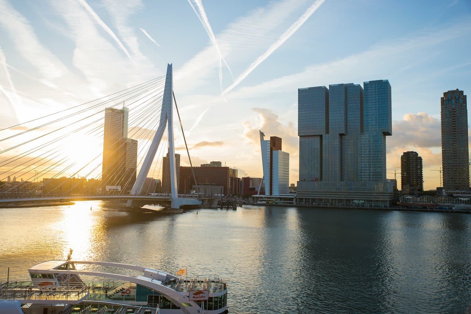 Miniprzewodnik: Expaci w Rotterdamie