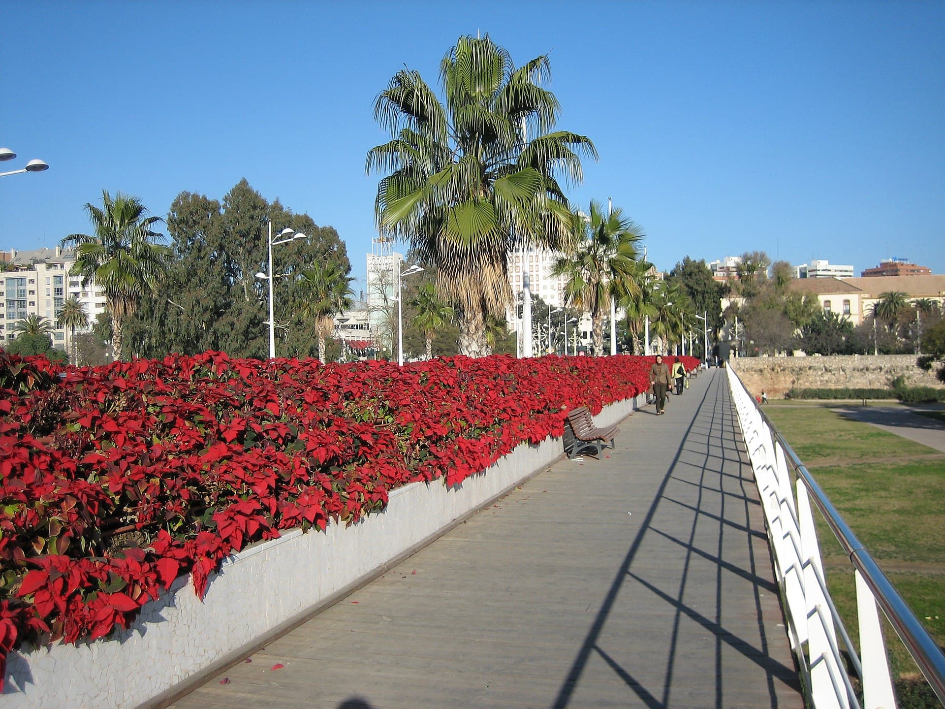 Puentes de Valencia – Puentes en Valencia