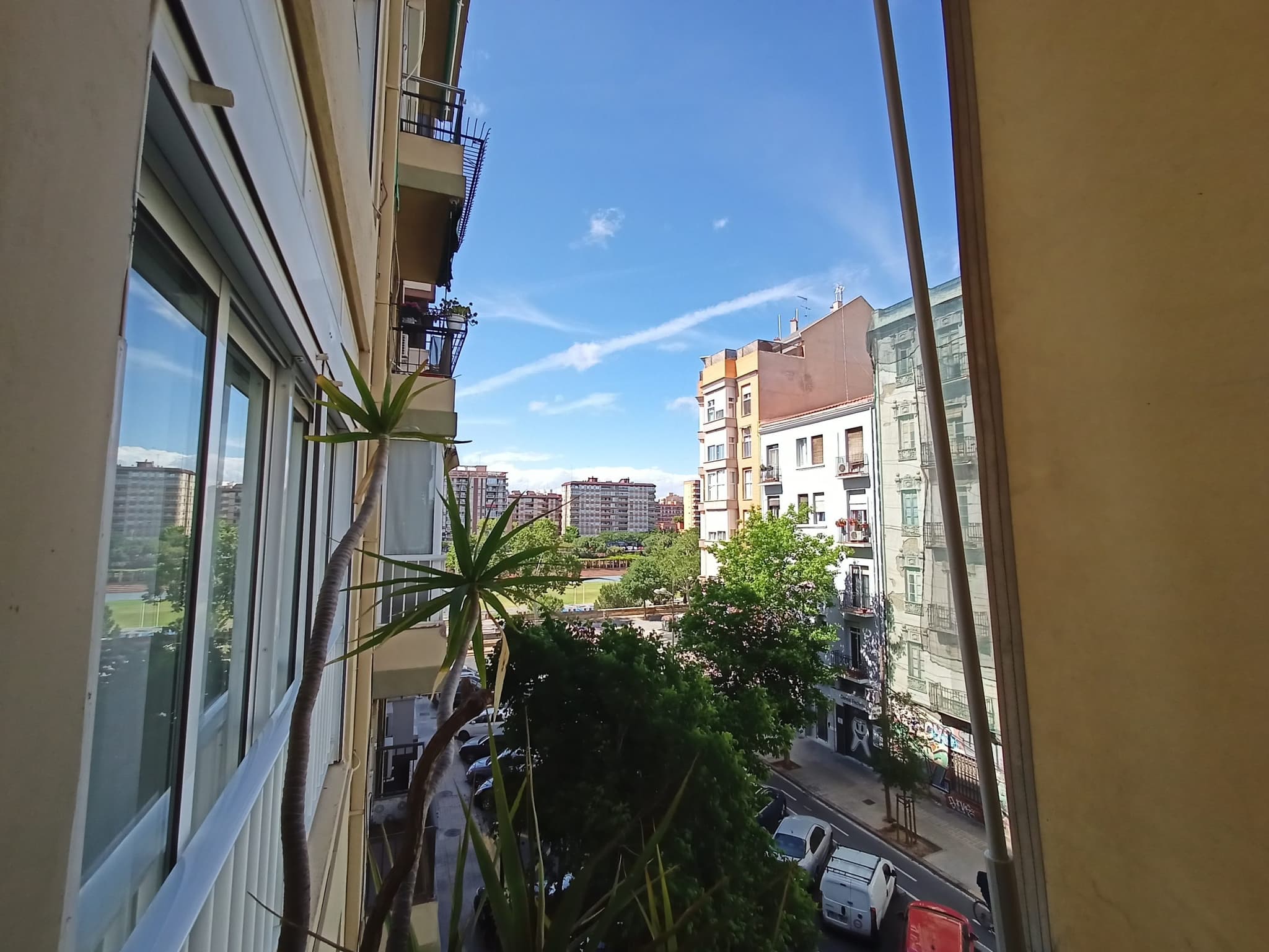 IMG20240515163603