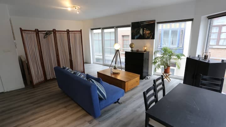Winkelhaak - Renovated studio in the city center of Antwerp