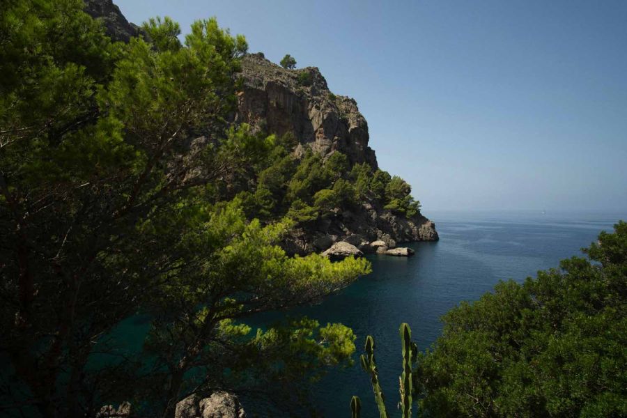 mallorca 76827e9d Digital nomads in Spain