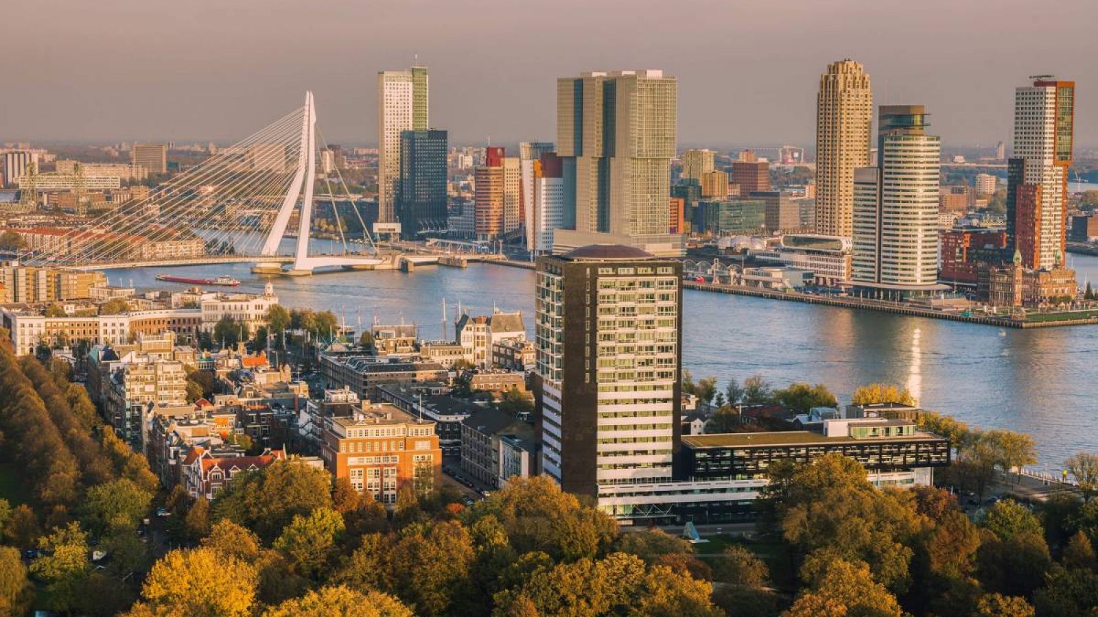 aprtments for rent in rotterdam