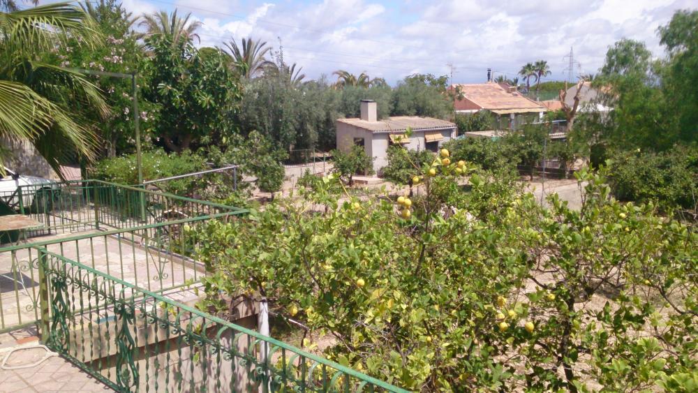 House for rent in Elche with pool