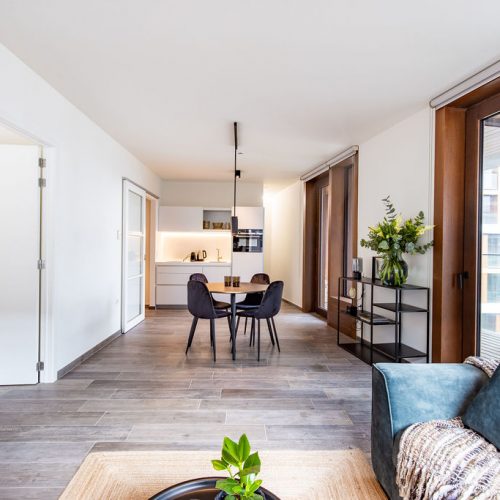 Ledeganck 313 - Luxury expat apartment in Antwerp
