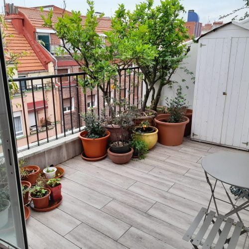 General Eguia - Apartment for expats in Bilbao with terrace