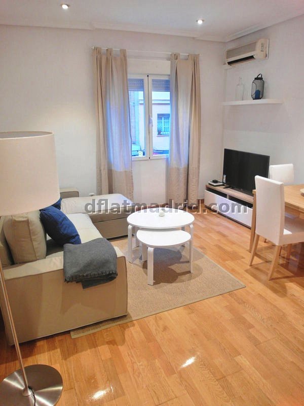 Comfortable apartment in Madrid for expats