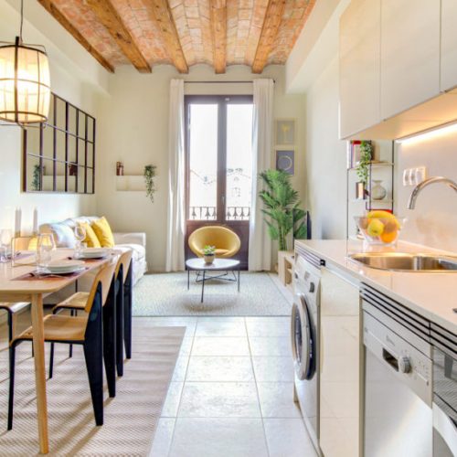 Cristina 2 - Luxury flat for expats in Barcelona