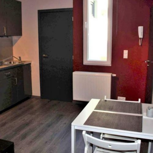 Eendracht 1 - Furnished accommodation in Antwerp