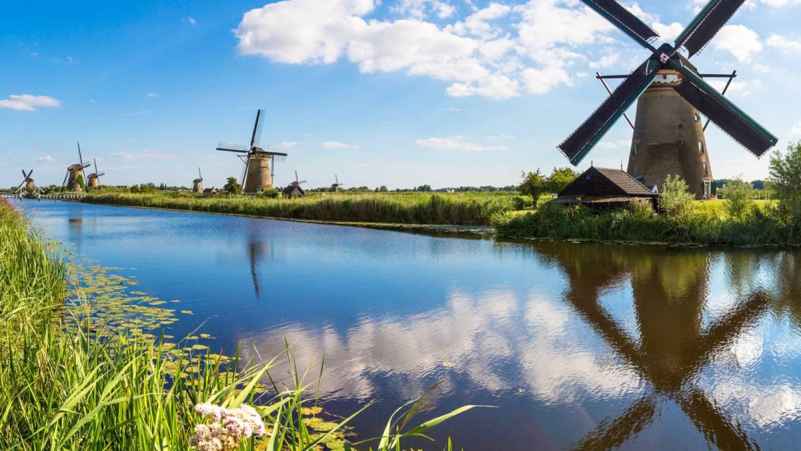 The netherlands