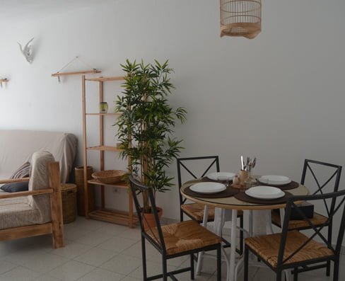 Cactus - Furnished apartment in Corralejo