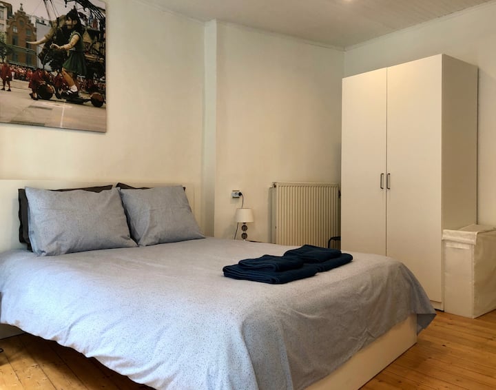 Meir - Entry ready expat flat in Antwerp