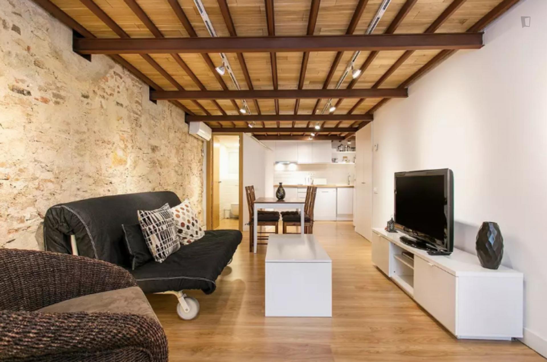 Spacious modern apartment in Barcelona
