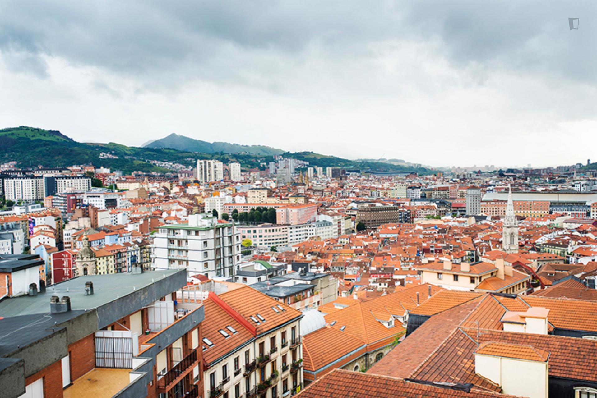 Etxetaldea- Cómoda Habitación en Piso Compartido Bilbao