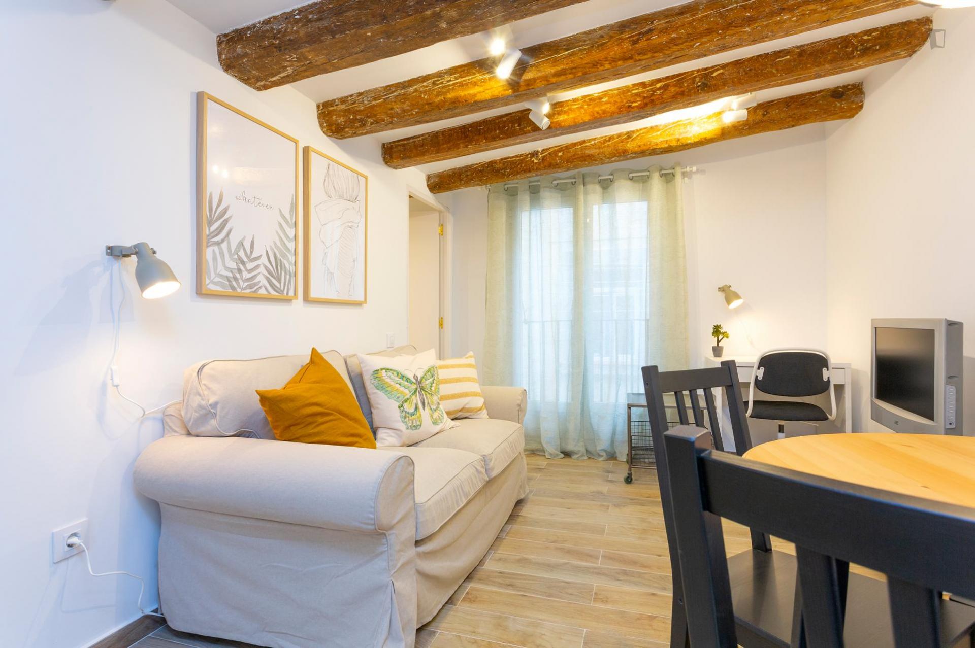 Furnished apartment in Barcelona