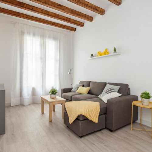 Paloma 3 - Lovely furnished flat for expats in Barcelona