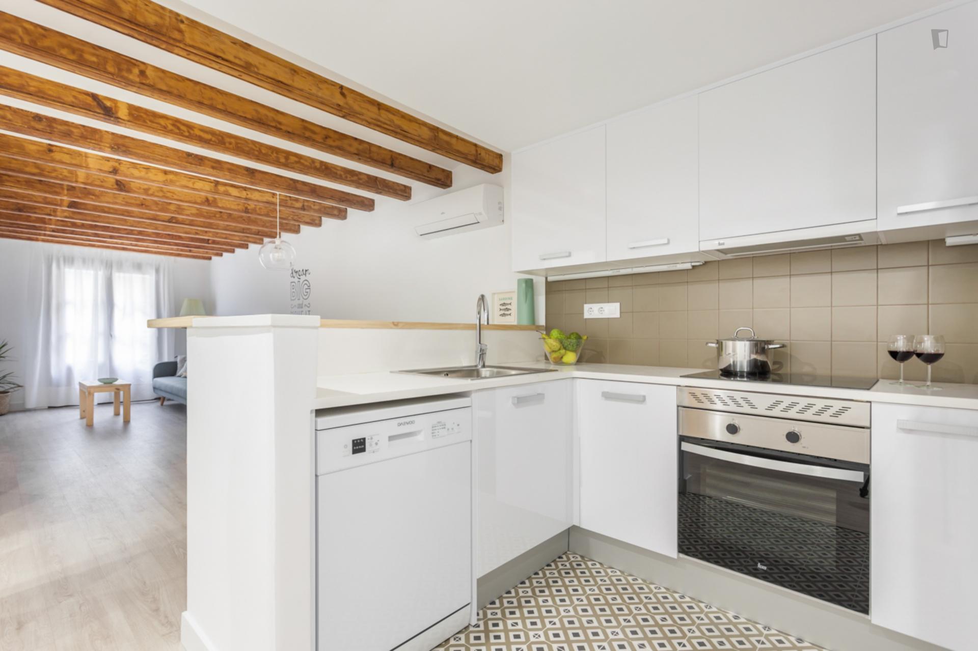 Paloma 2 - Reformed flat for expats in Barcelona