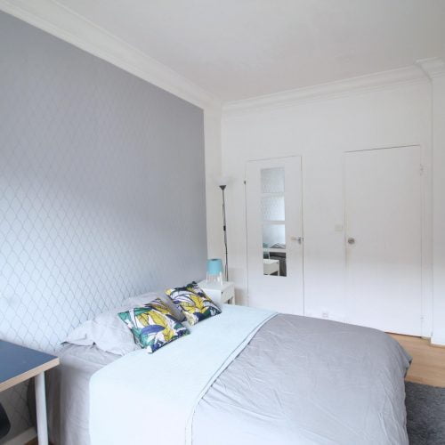 Nivert - Welcoming double bedroom in Paris