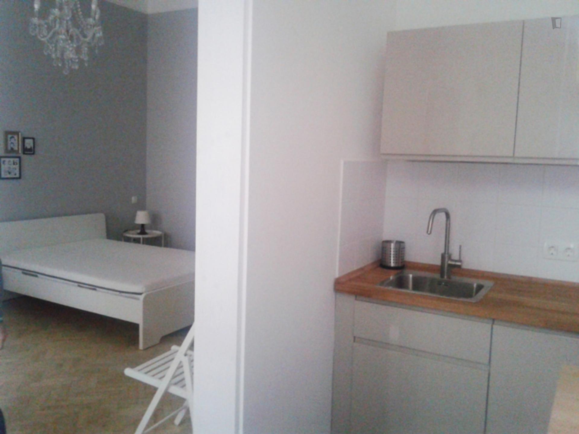 Lujza - One bedroom flat in Budapest