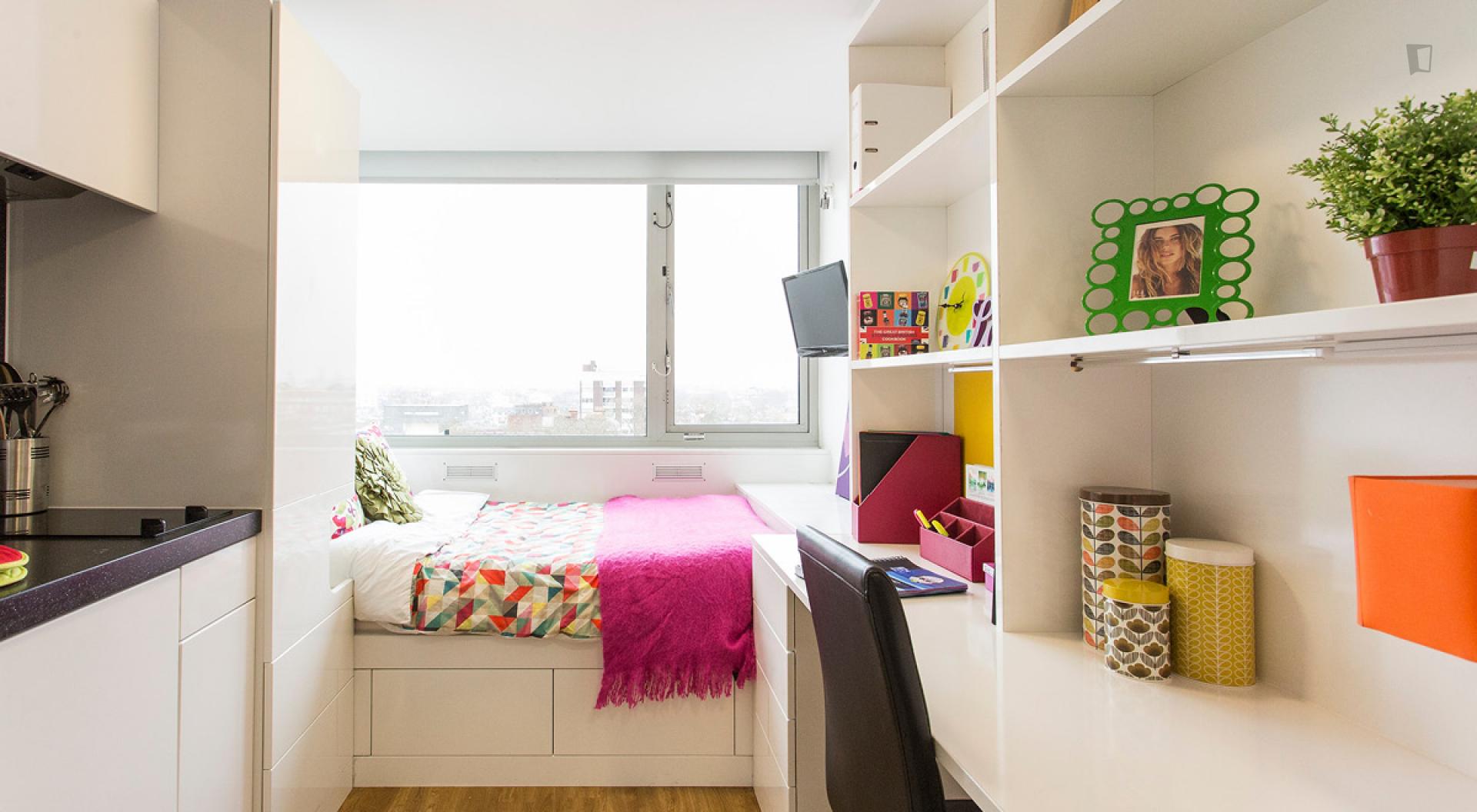 Manresa - Bedroom in an expat rental in London