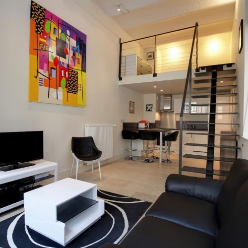 Spacious and bright studio flat in Paris