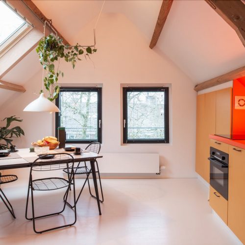 Mathenesser - Exclusive expat rental in Rotterdam