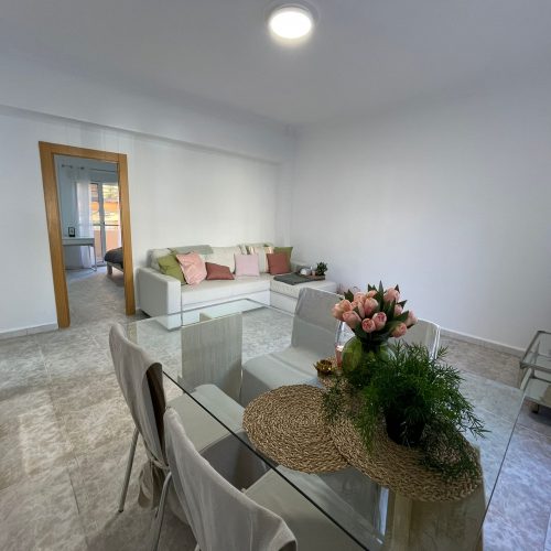 Marino - Large expat apartment in Valencia