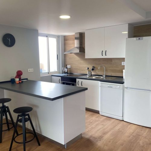 Kitchen apartment for rent in valencia ciudad de las ciencias