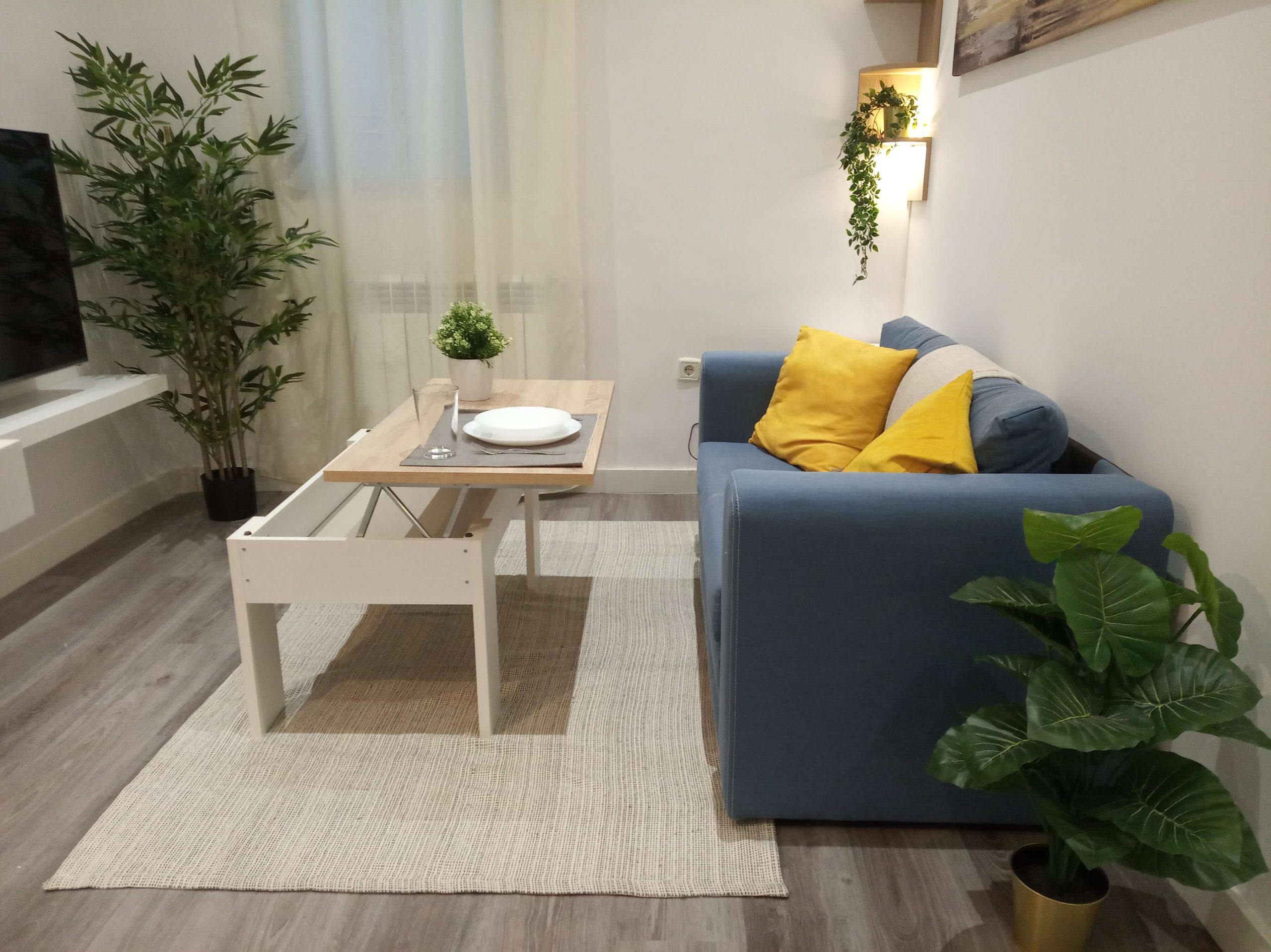 Living room apartment in madrid for rent