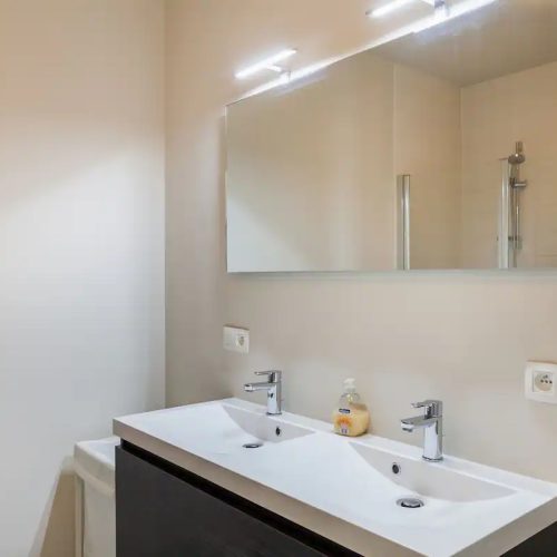 Apartment for rent in Antwerp - bathroom