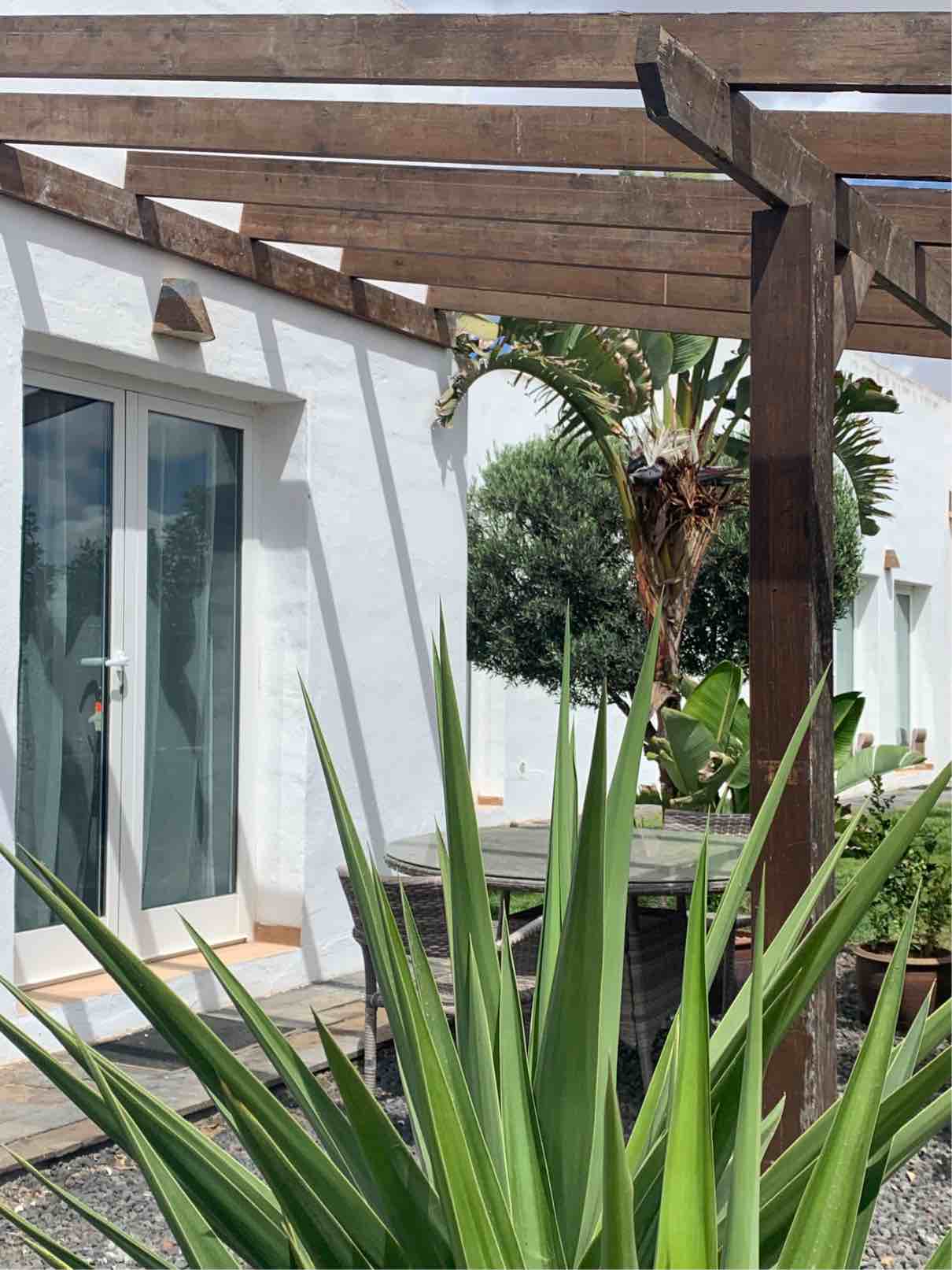 studio for rent in fuerteventura - garden