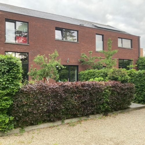 Leeuwerikstraat - House for rent in Ghent