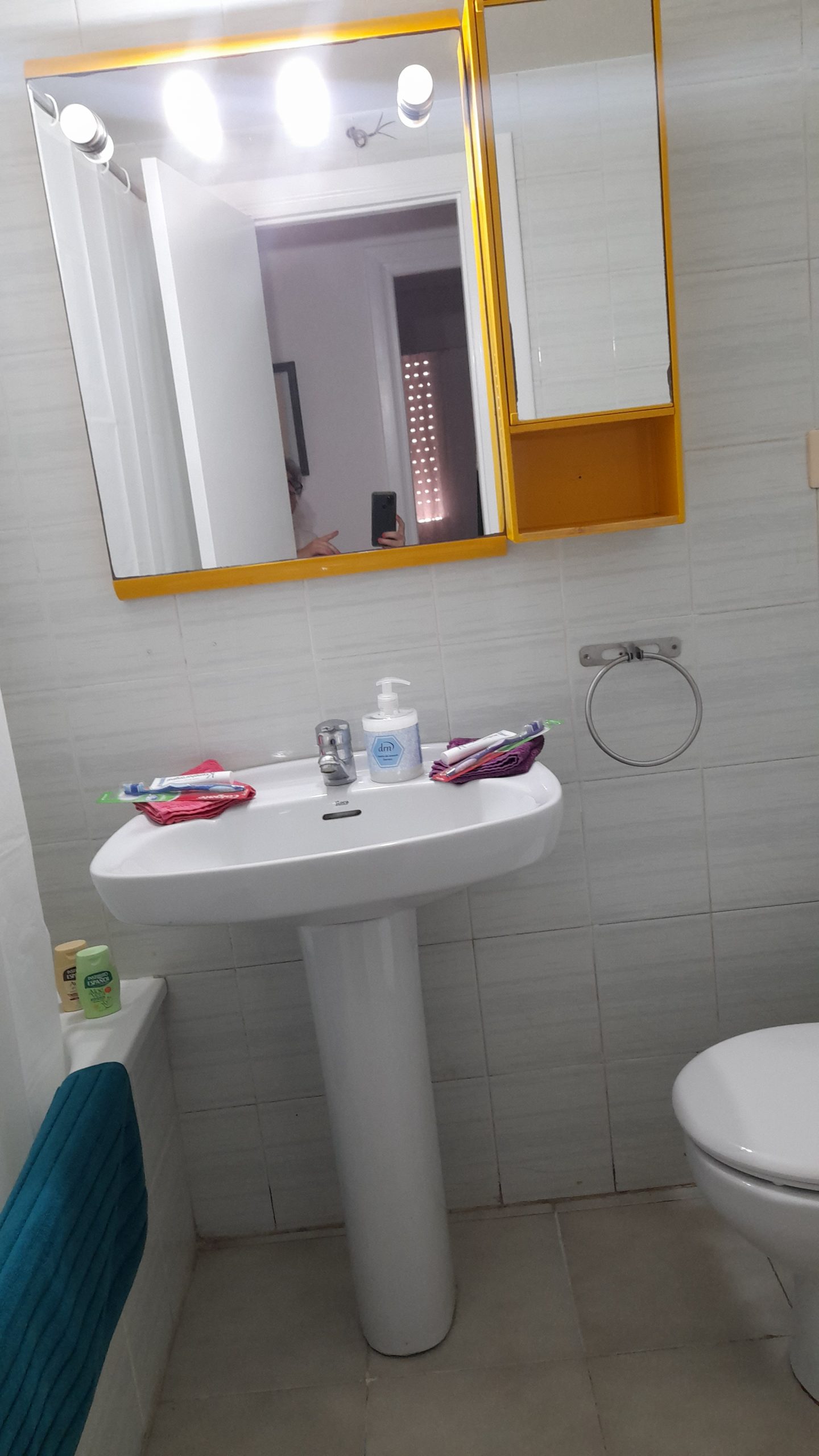 apartment for rent in Castellon- bathroom