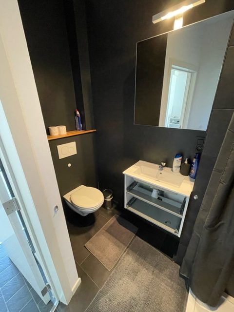 apartment for rent in antwerp - bathroom