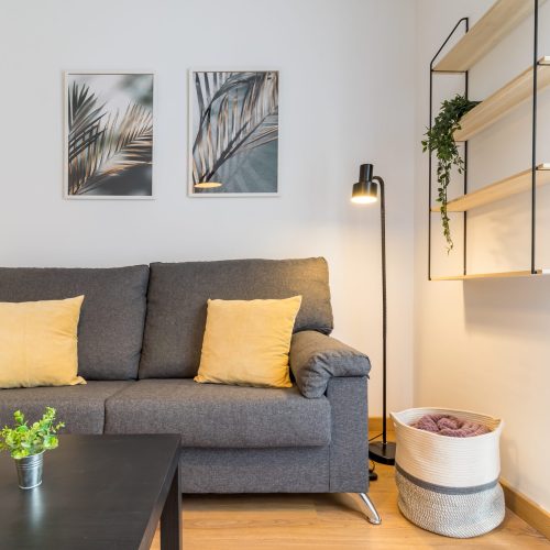 studio for rent in Santander - livingroom