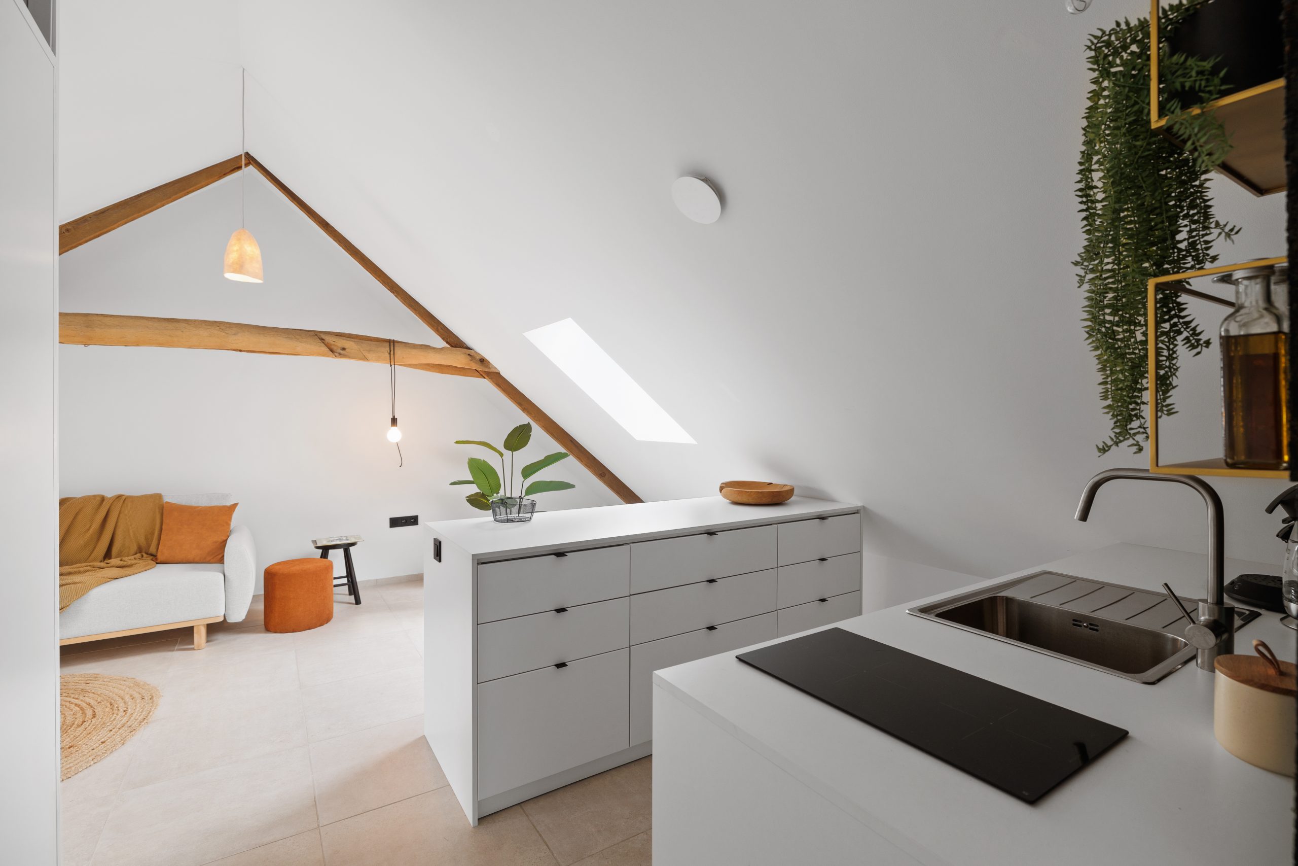 apartment for rent near Antwerp - Livingroom