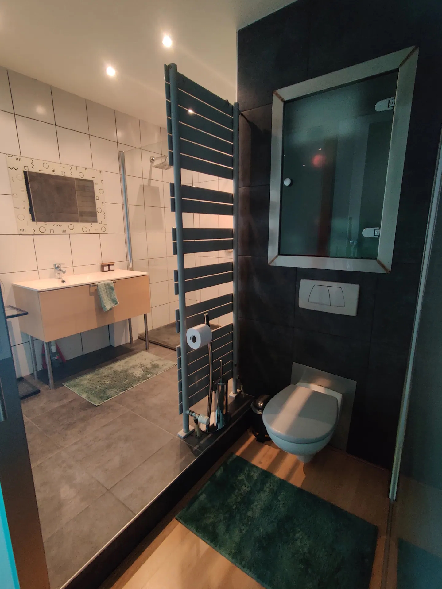 Apartment for rent in antwerp - bathroom